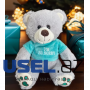 Soft toy Teddy bear in a T-shirt with inscriptions 21 cm